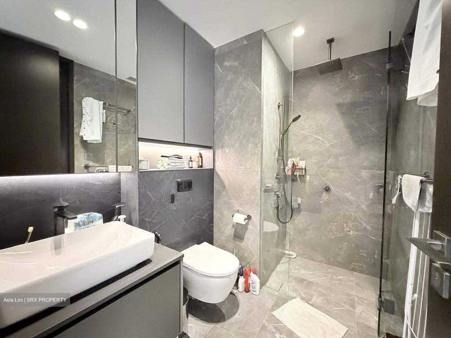 Irwell Hill Residences (D9), Apartment #633433361